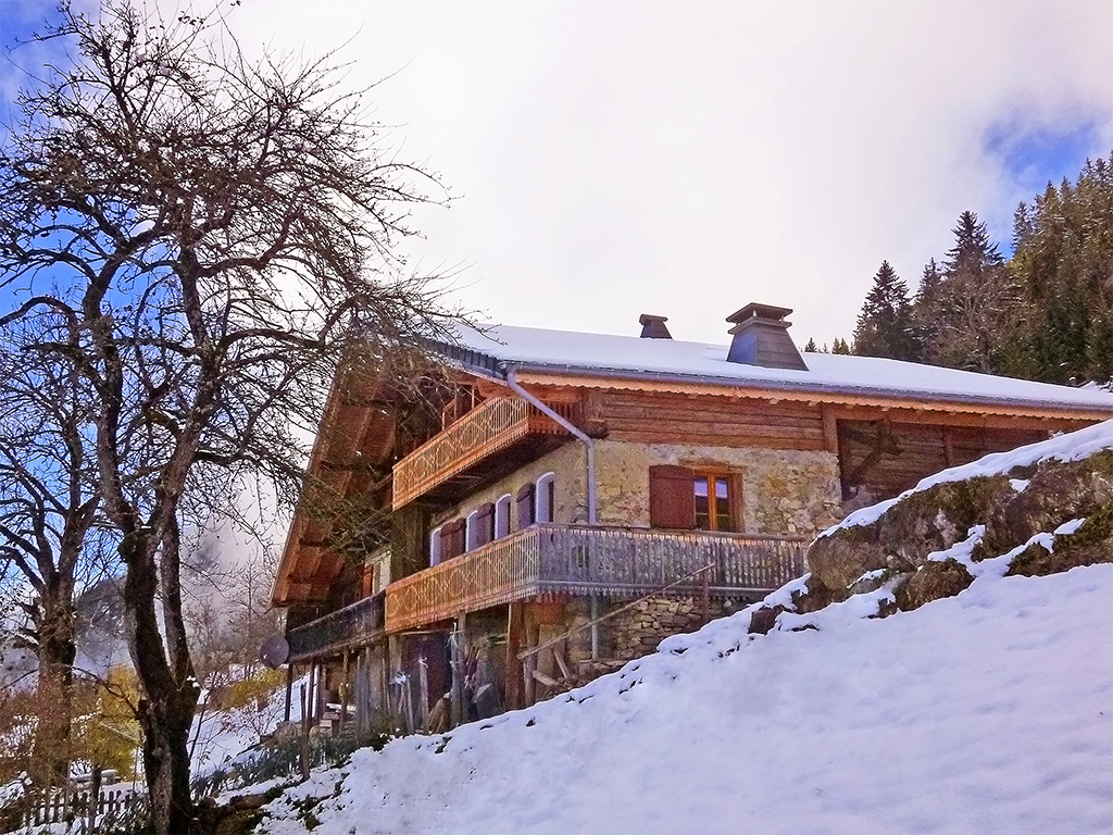 Chalet Petit Chatel