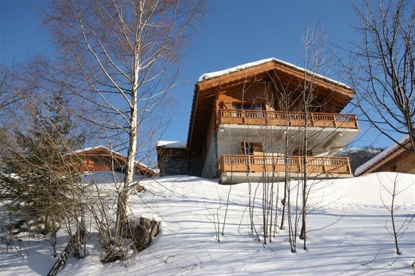 Chalets en Appartementen les Airelles