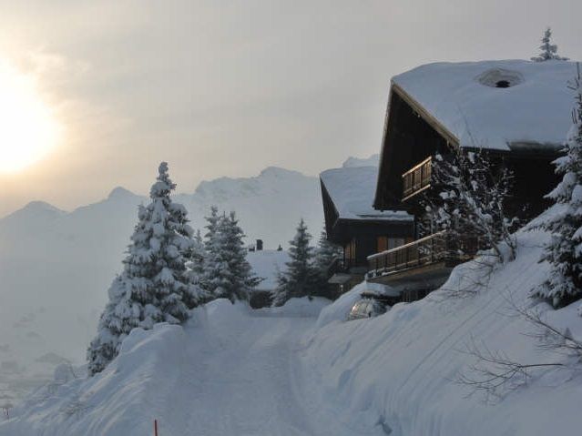 Chalet Tuschinski - 12-14 personen