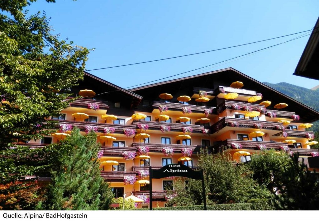 Hotel Alpina